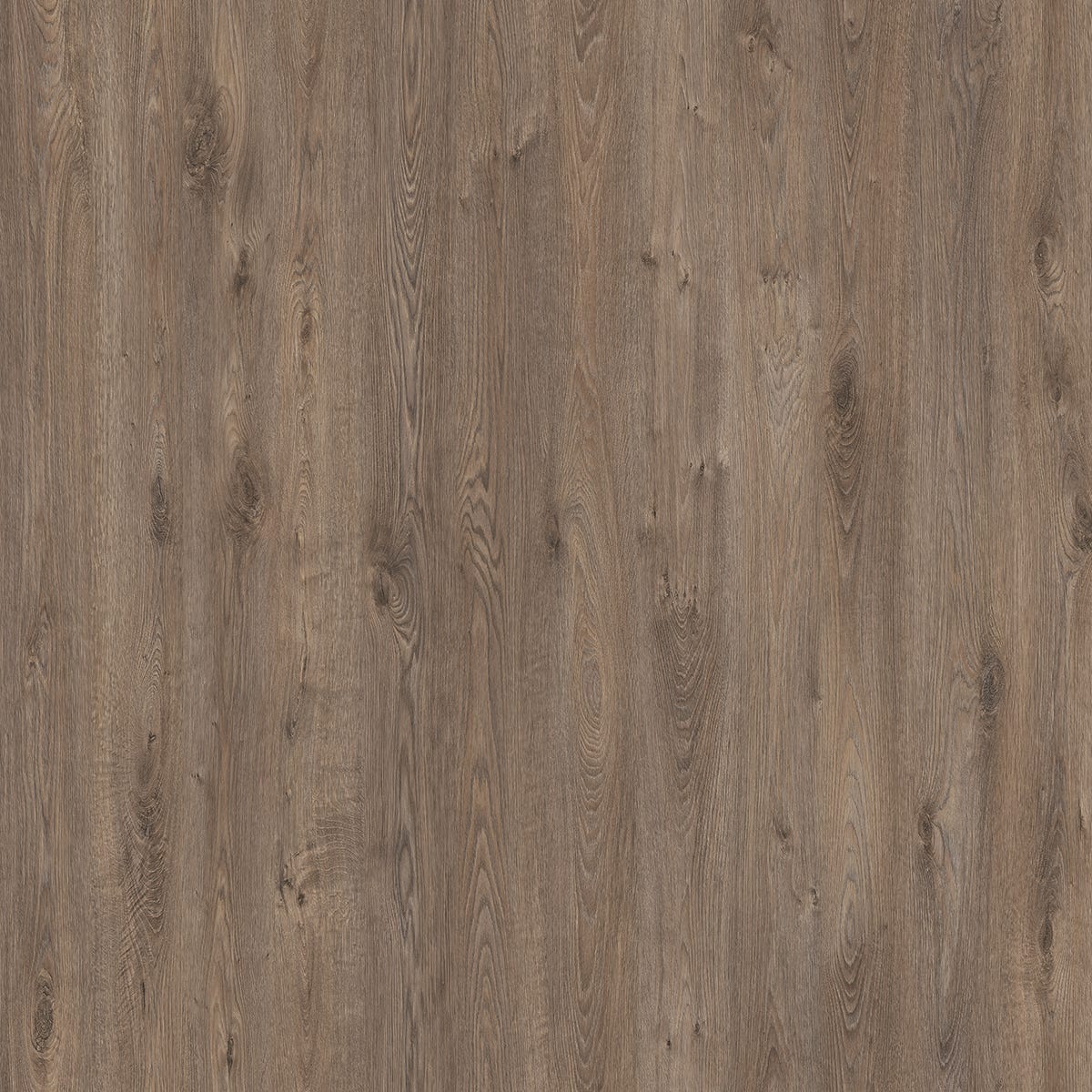 SEVILLE Laminate Flooring, 12 mm, AC3, Beige