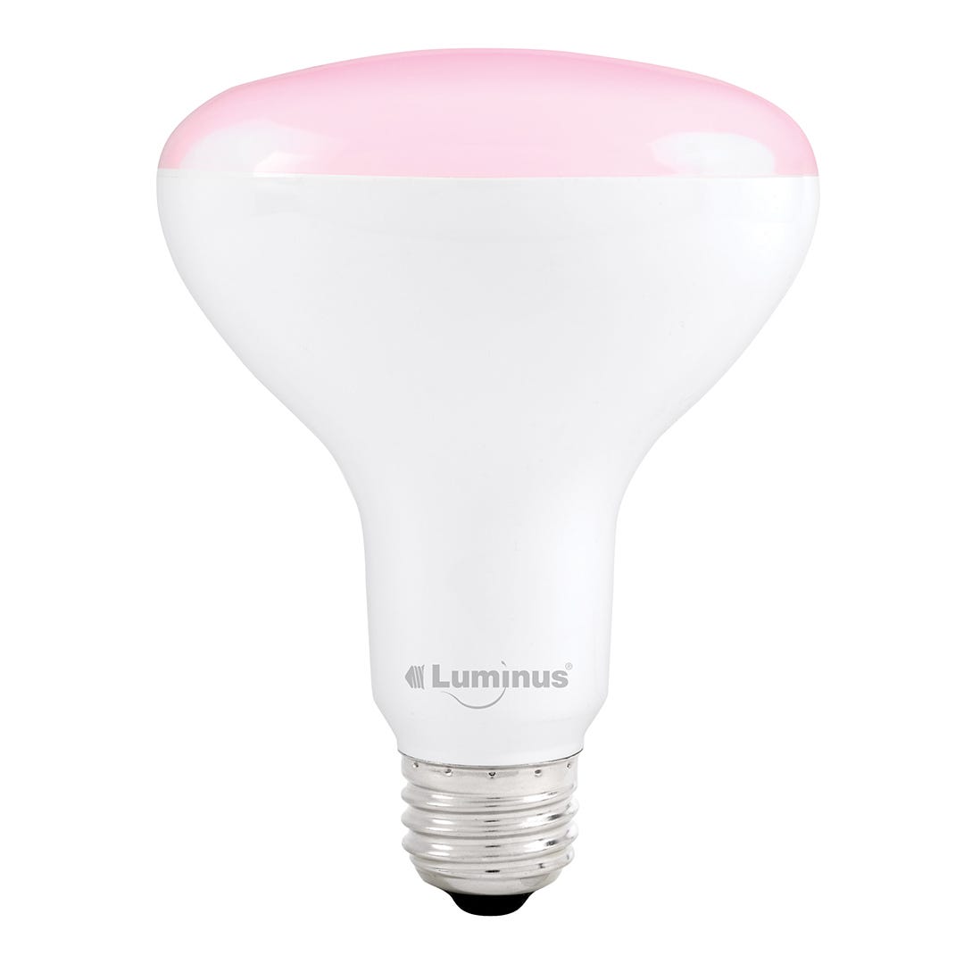 LED Plant Bulb, BR30, 10W