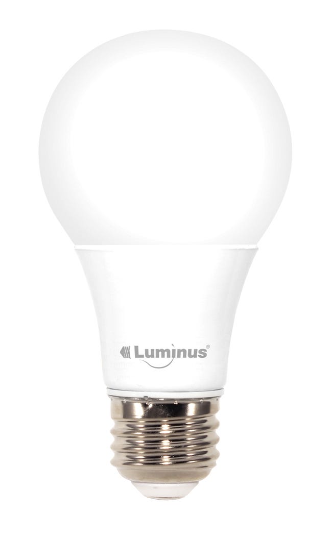 Non-Dimmable LED Bulb, A19, 6W, 5000K, 2/Pack