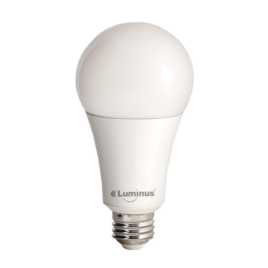 LED Bulb, A21, 20W, 5000K