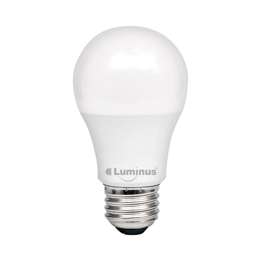 LED Bulb, A19, 6W, 2700K