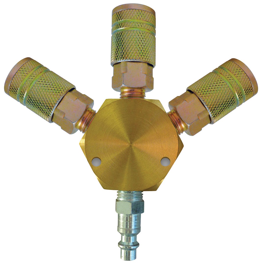 Manifold with couplers and plug triple
