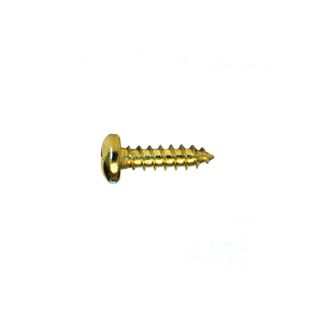Metal Screw Polished Brass, Pan Head, Square Drive #8 X 5/8-in., 18/Pack
