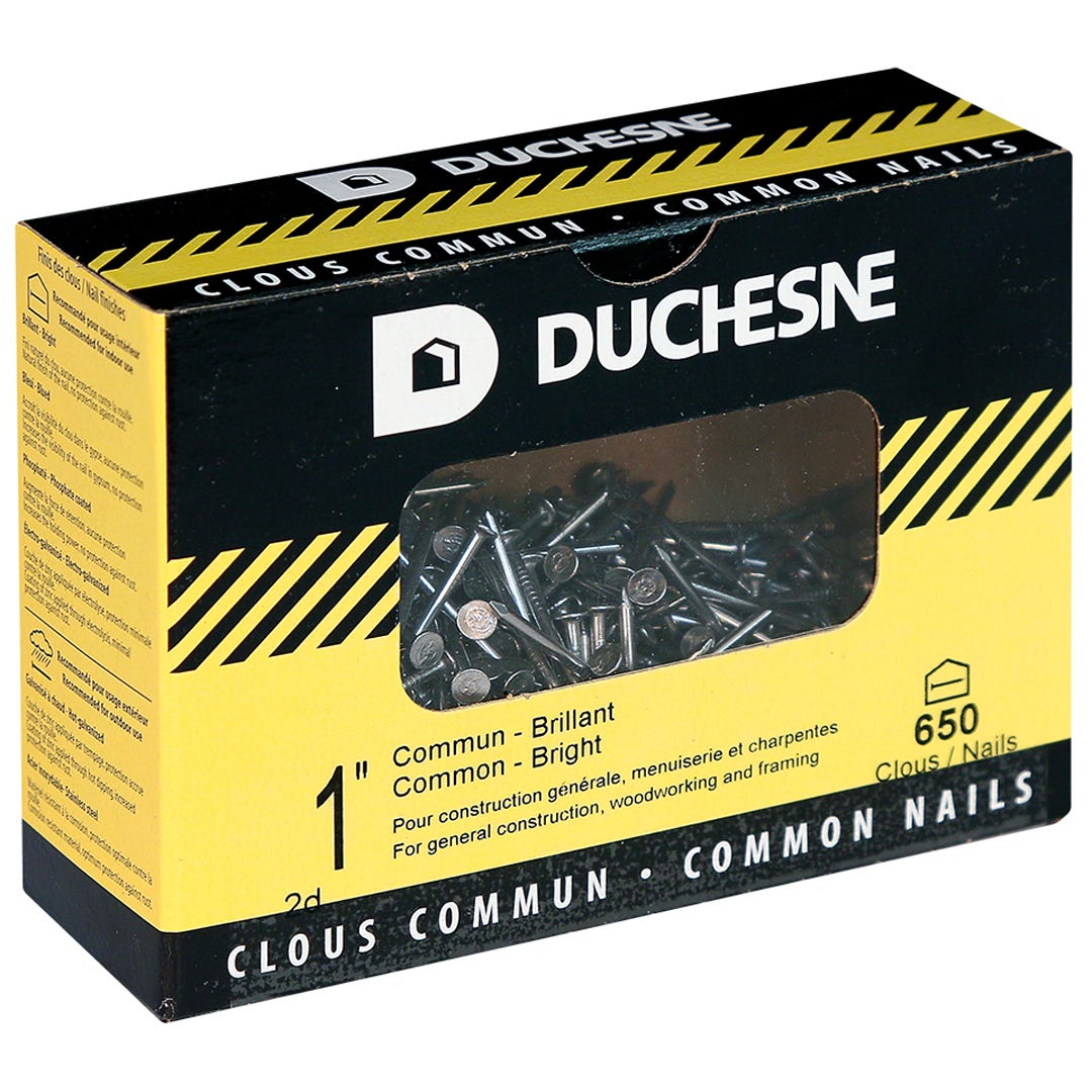 Nails Common, 1 in., 650/Box