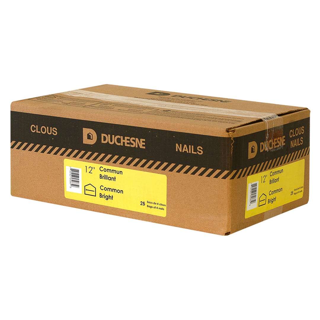 Nails Common, 12 in., 4/Box