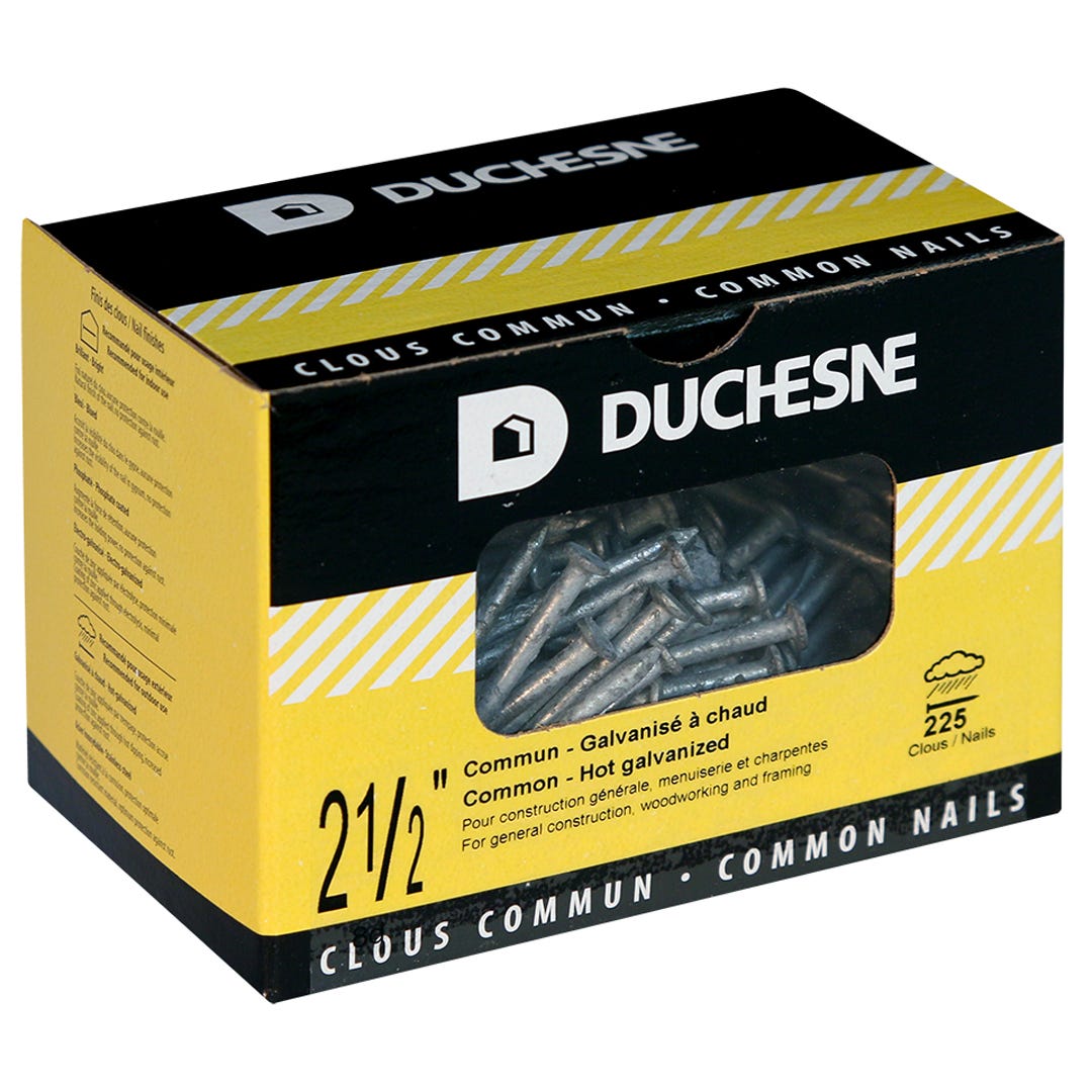 Nails Common, 2-1/2 in., 225/Box