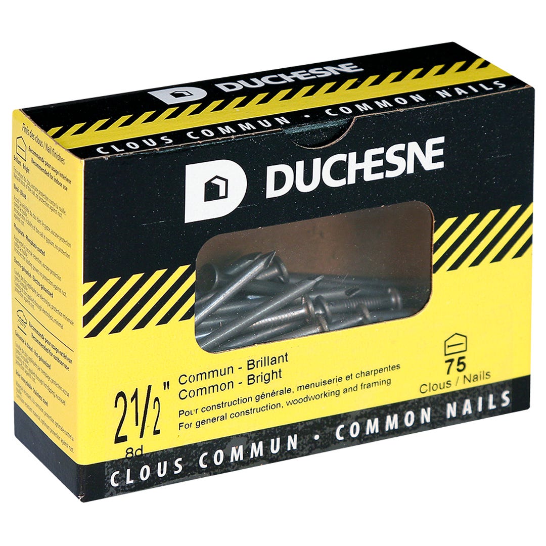 Nails Common, 2-1/2 in., 75/Box