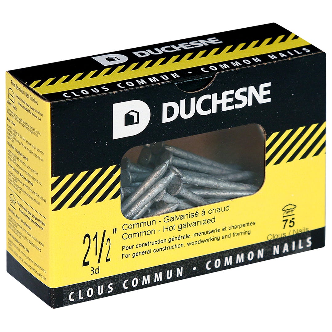 Nails Common, 2-1/2 in., 75/Box