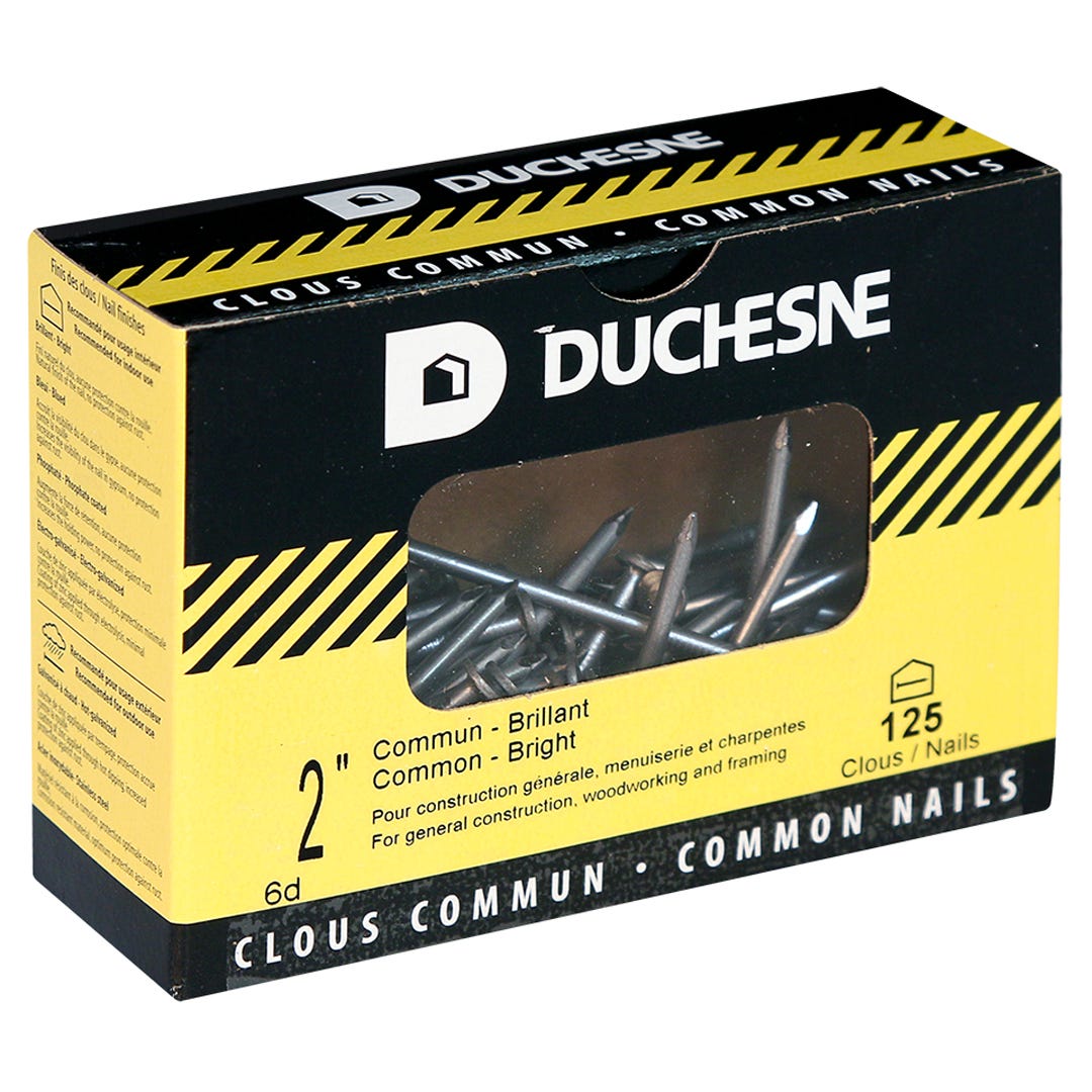 Nails Common, 2 in., 125/Box