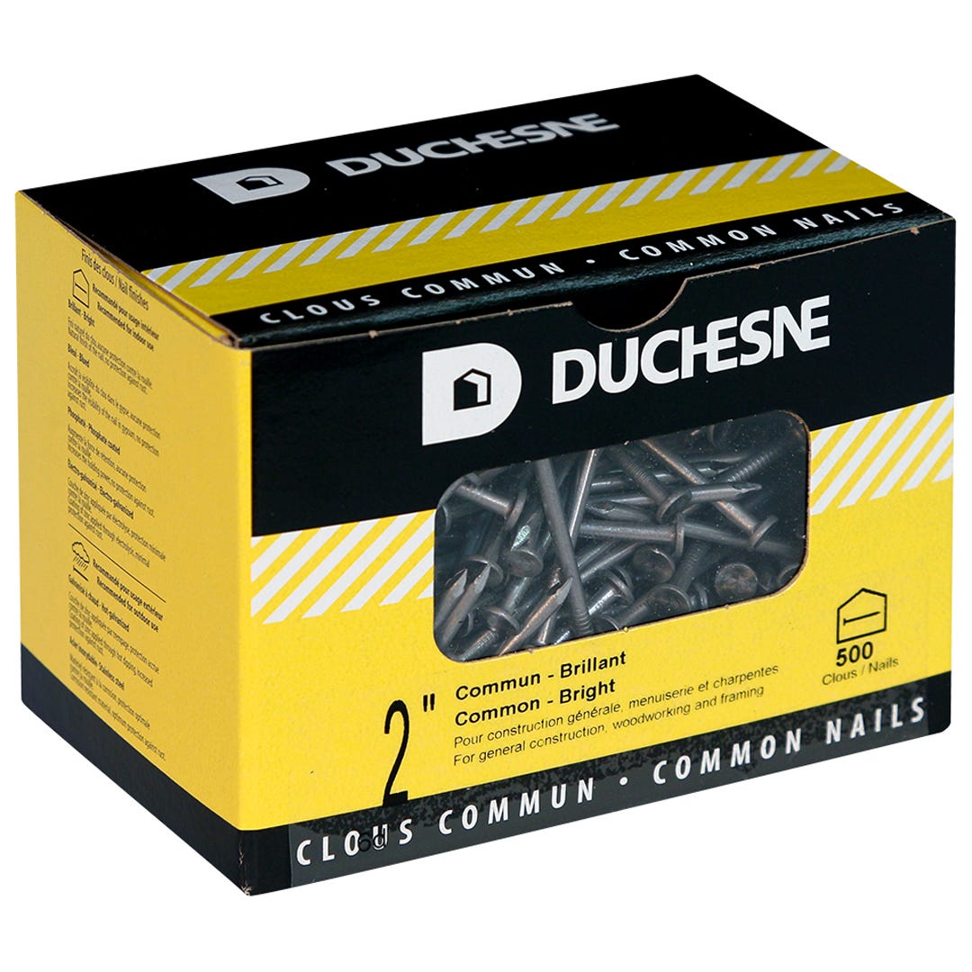 Nails Common, 2 in., 500/Box