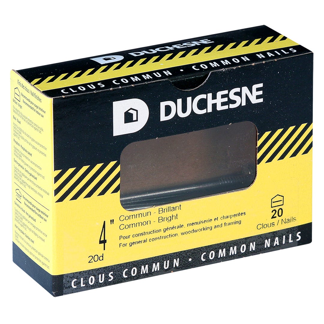 Nails Common, 4 in., 20/Box