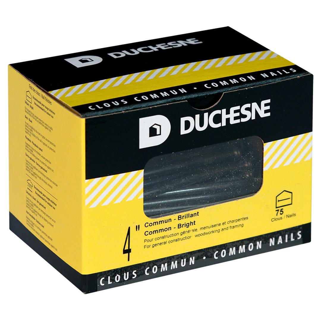 Nails Common, 4 in., 75/Box