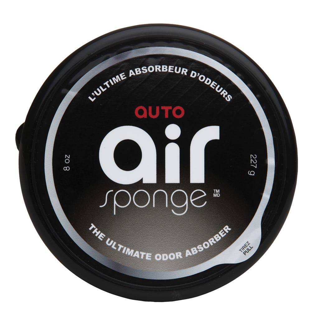 Car Odor Absorber