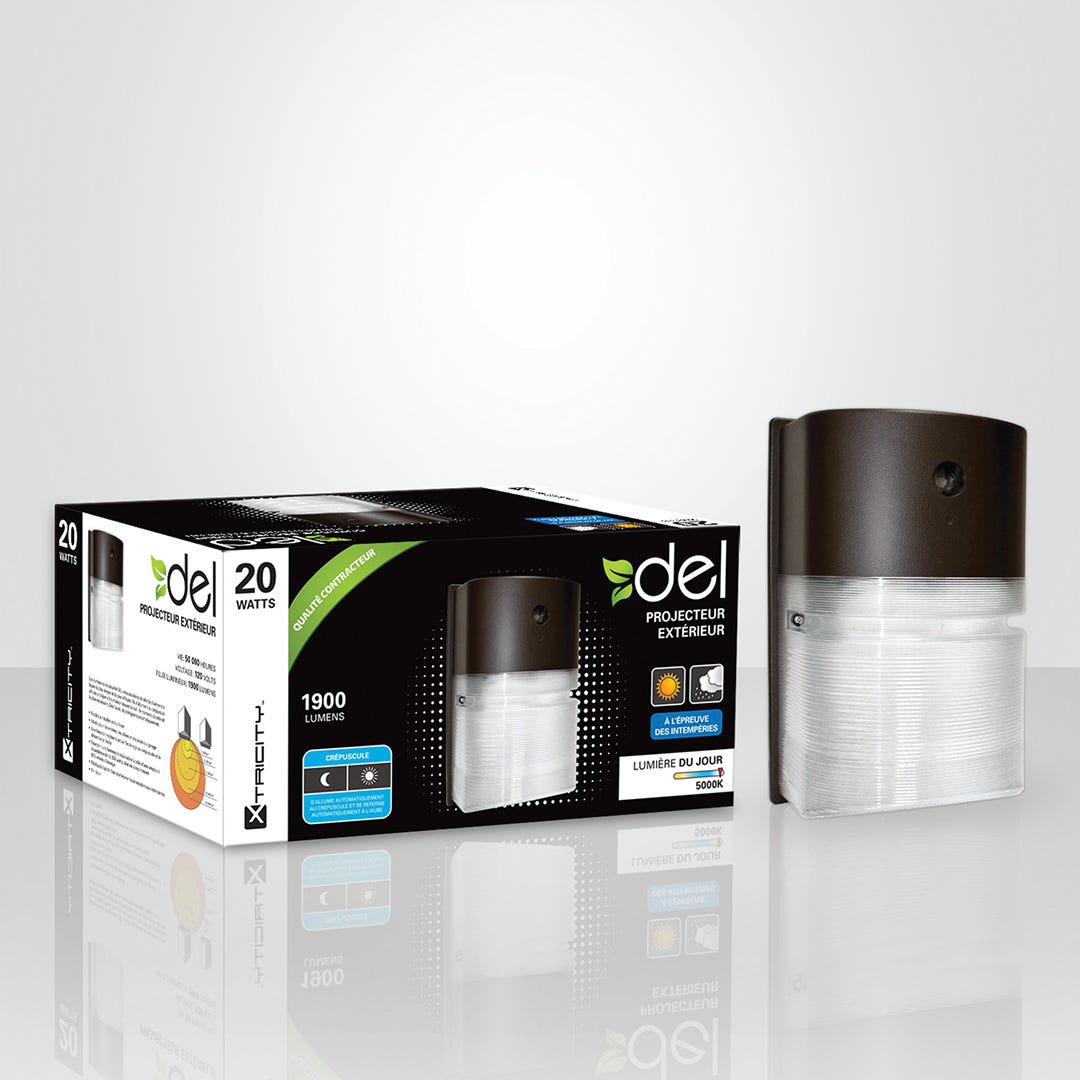 Outdoor security LED light
