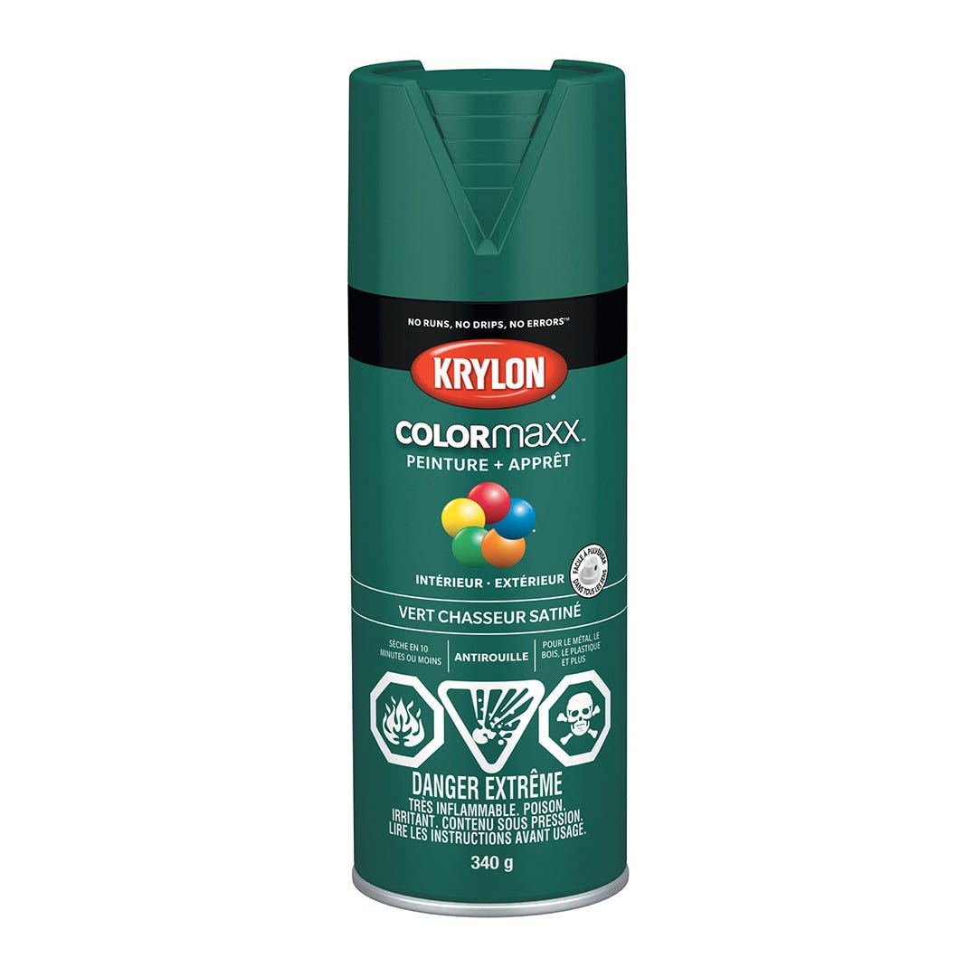 Spray Paint, Hunter Green, 340 g