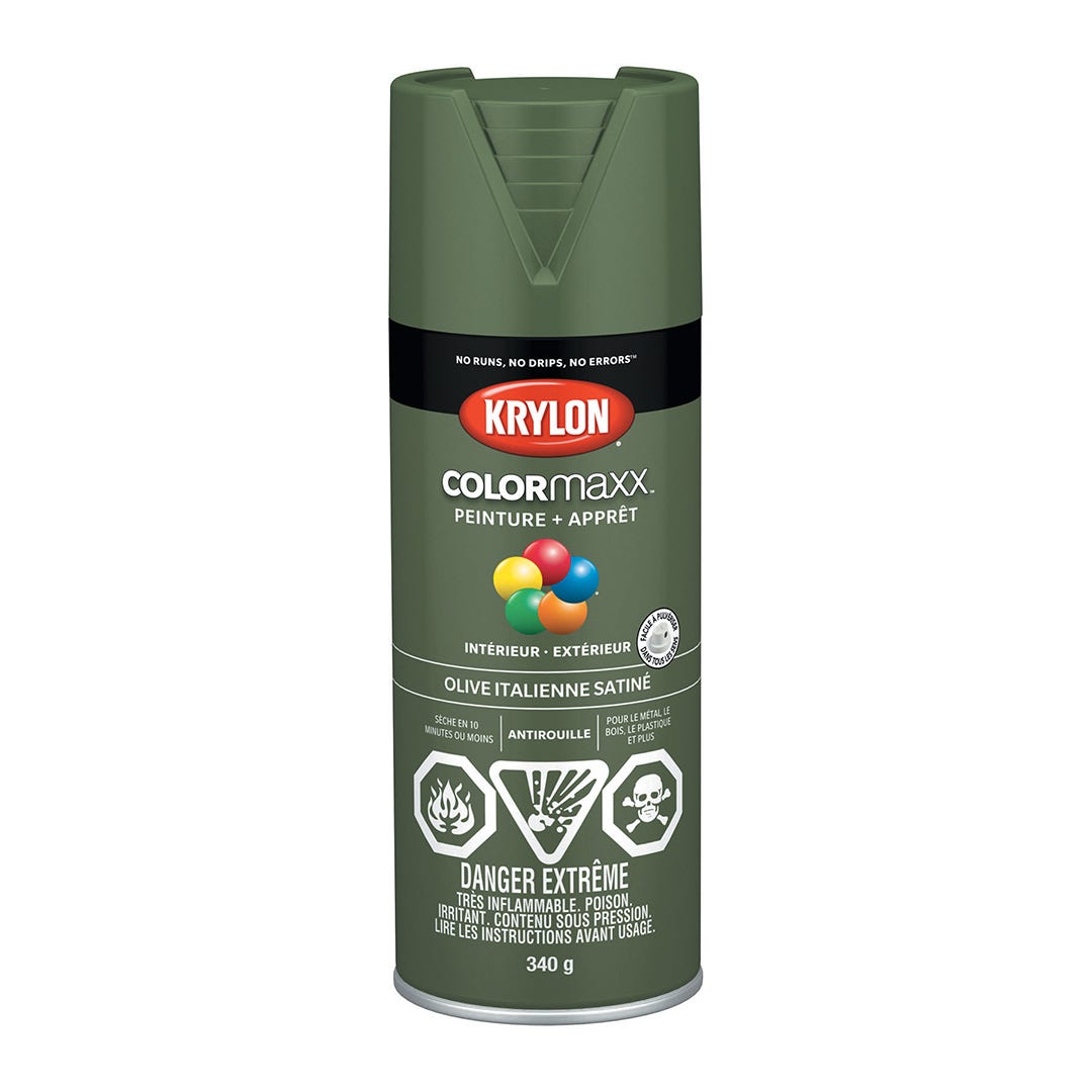 Spray Paint, Satin Italian Olive, 340 g