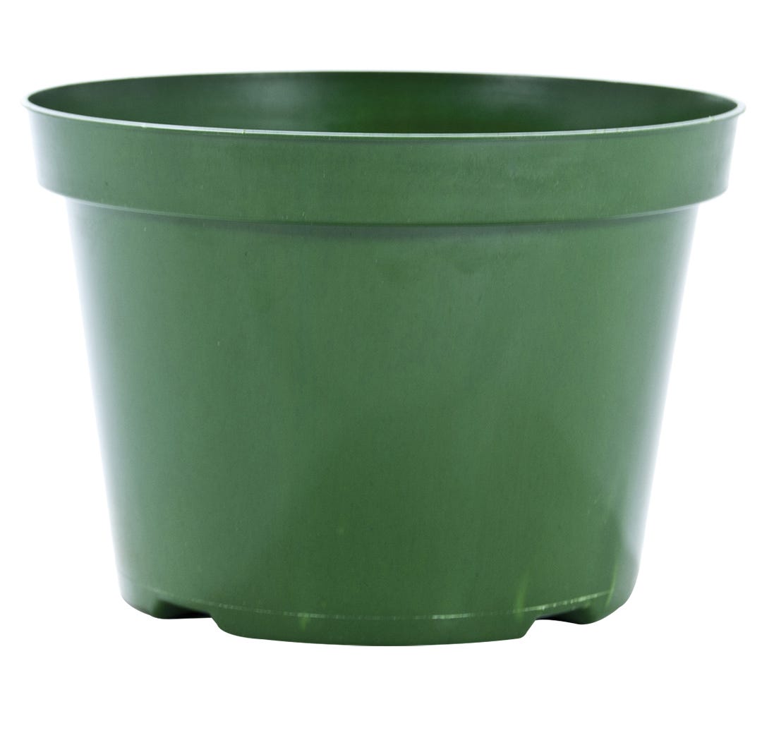 Vaserie Plp Plastic Planter, 10-in., Green