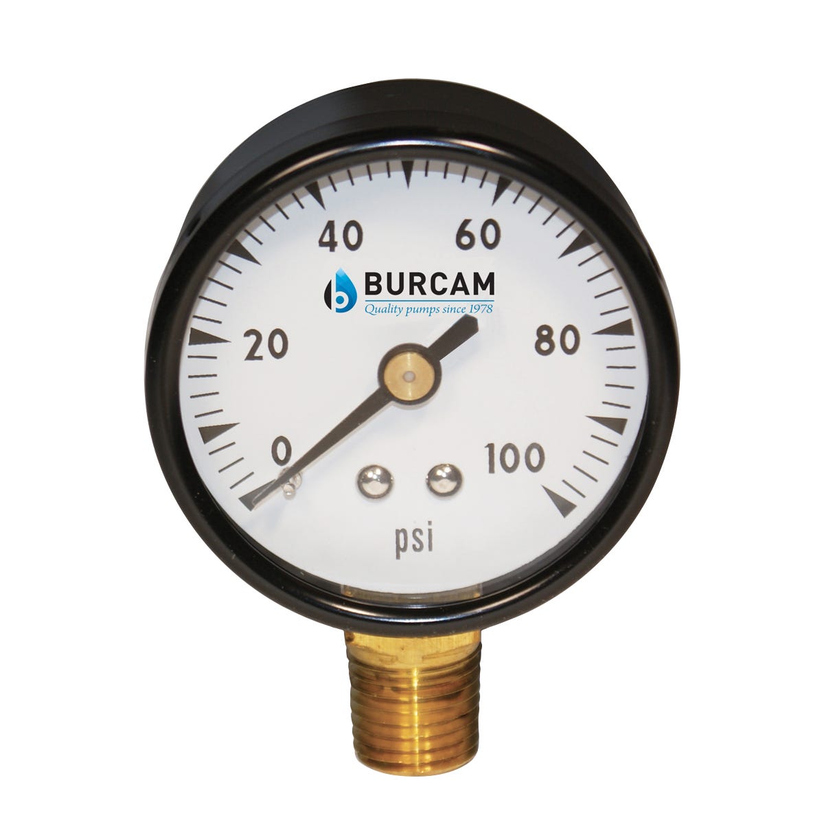Pressure Gauge, 1/4-in., 0-100 Psi