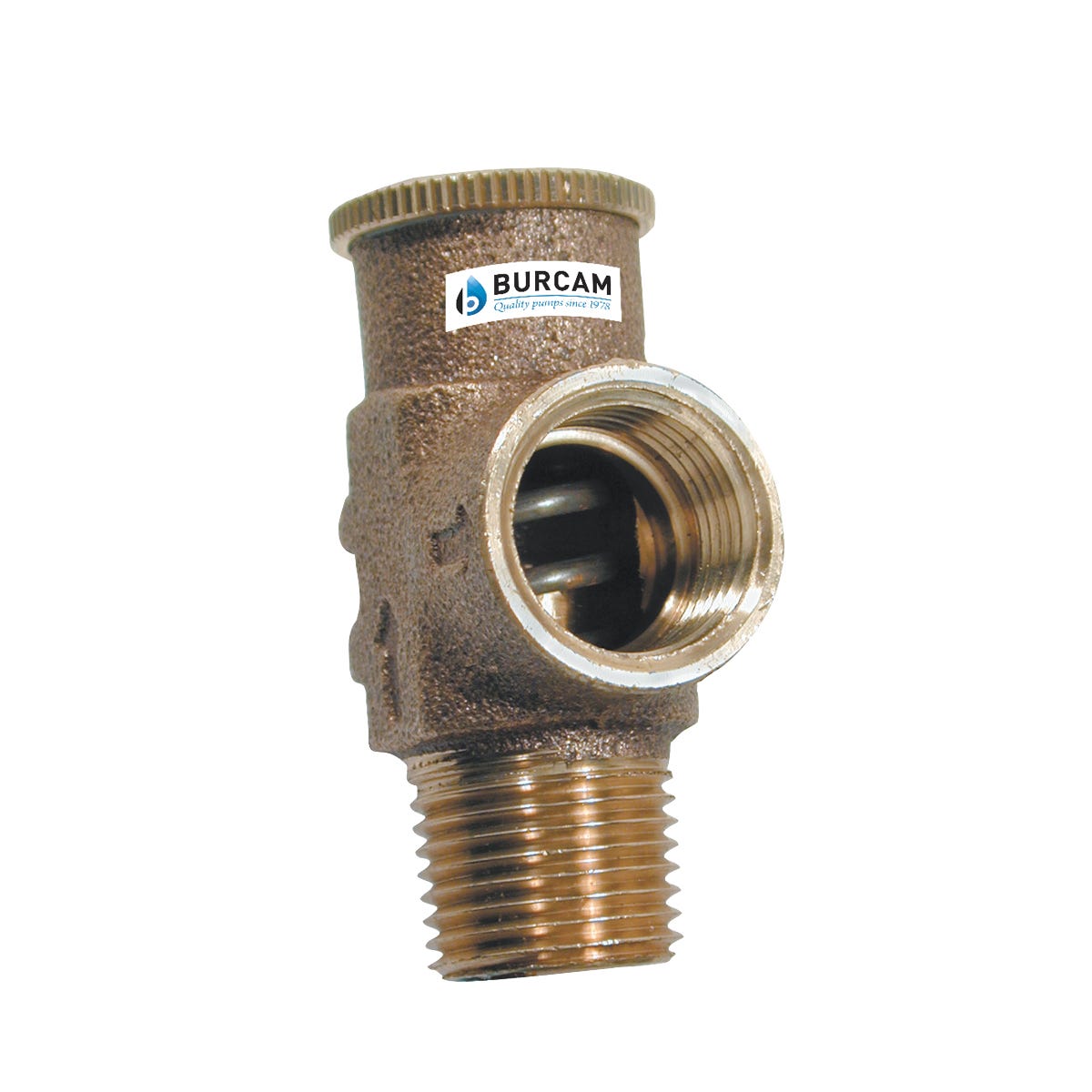Relief Valve, 1/2-in. X 1/2 In.
