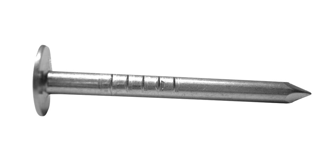 Roofing Nails 10G, 7/16 in. Head Nails, 1-1/2 in., 100/Box