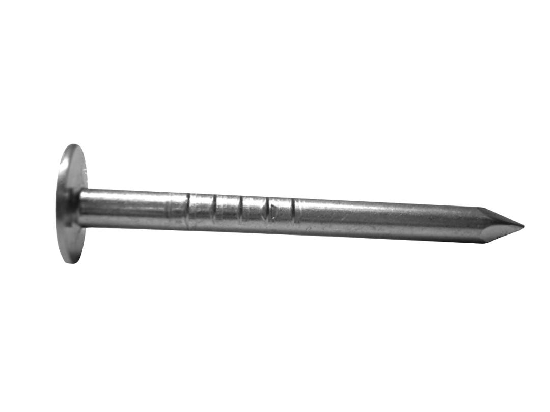 Roofing Nails 10G, 7/16 in. Head Nails, 1-1/4 in., 25 Lbs/Box