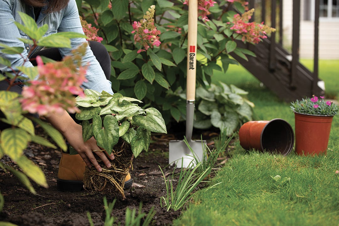 Garant Botanica 41-in. Round Point Shovel