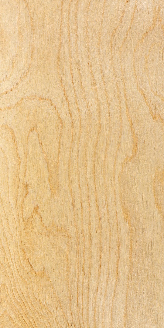 Sanded ACX plywood on one side in radiata pine 12 MM (15/32 in.) 4 X 8