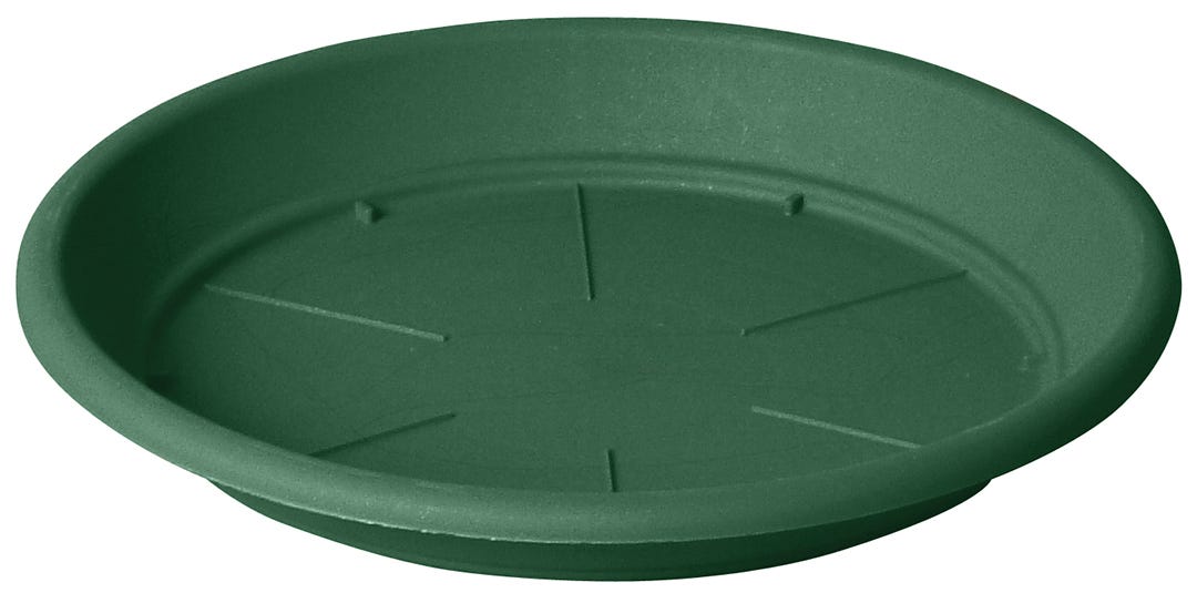 Vaserie Plp Planter Saucer, 6-in., Green