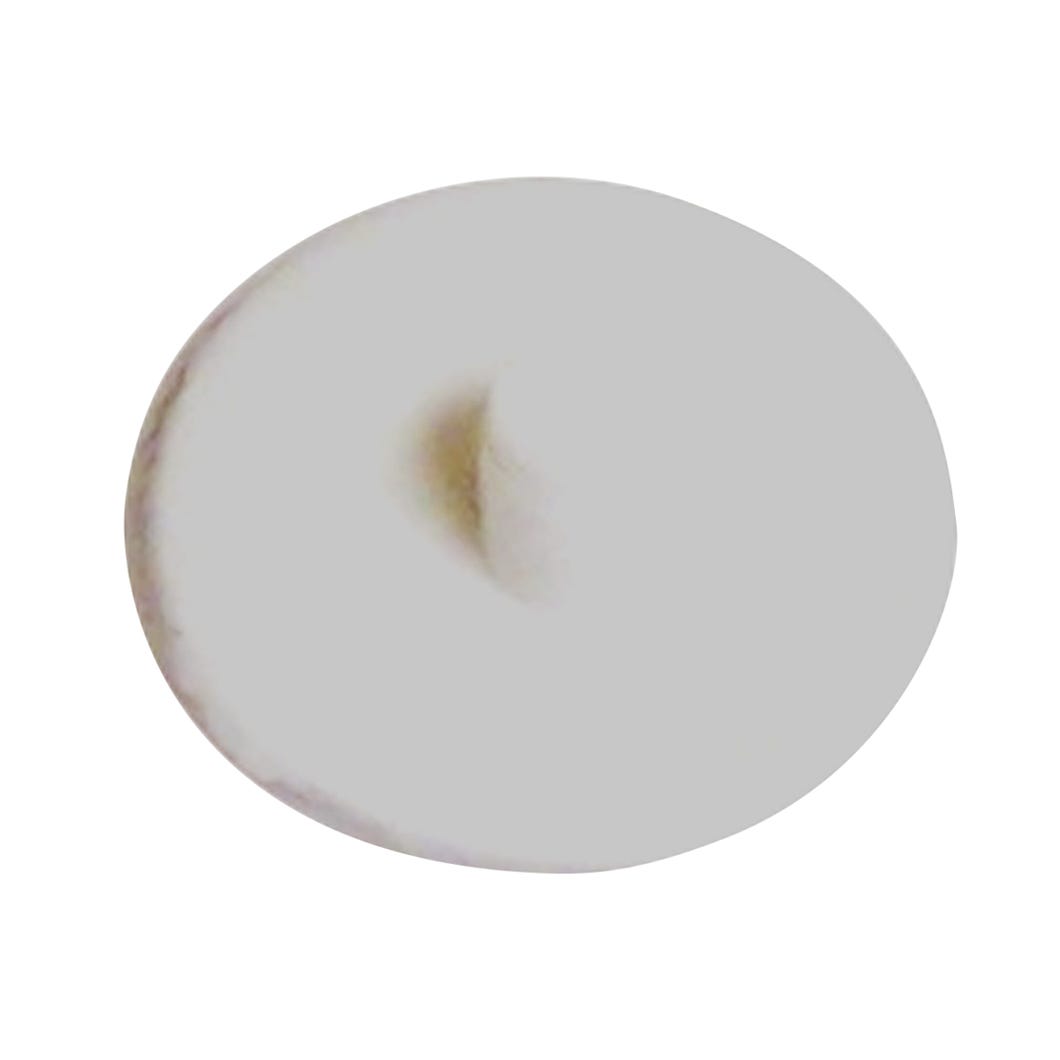 Plastic Screw Plug, #8 X 1/2-in., 50/Pack