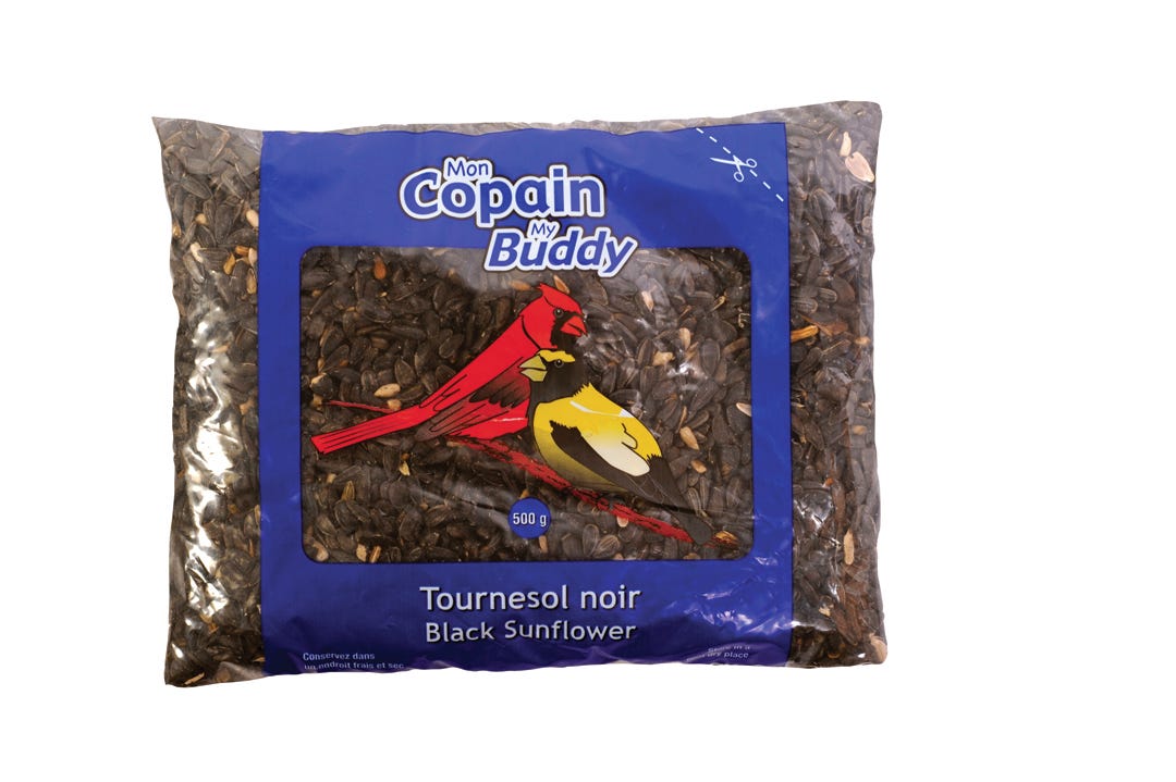 Black Sunflower Seeds for Wild Birds, 450G