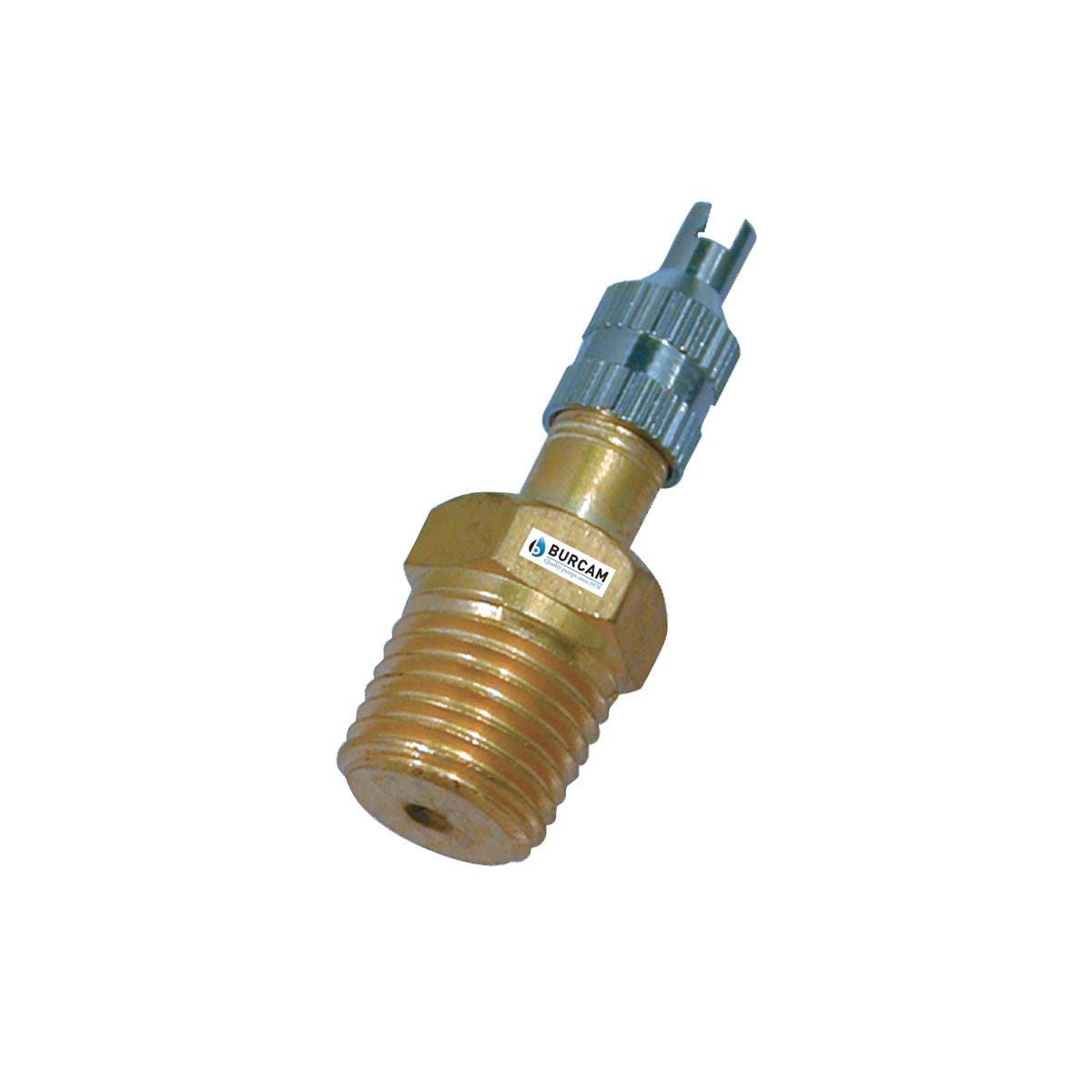 Snifter Valve, 1/4-in.