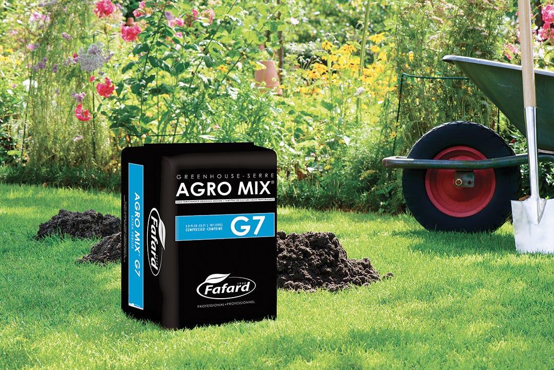 All Purpose Potting Soil with Extra Perlite, 3.8-ft. Cu., 107L