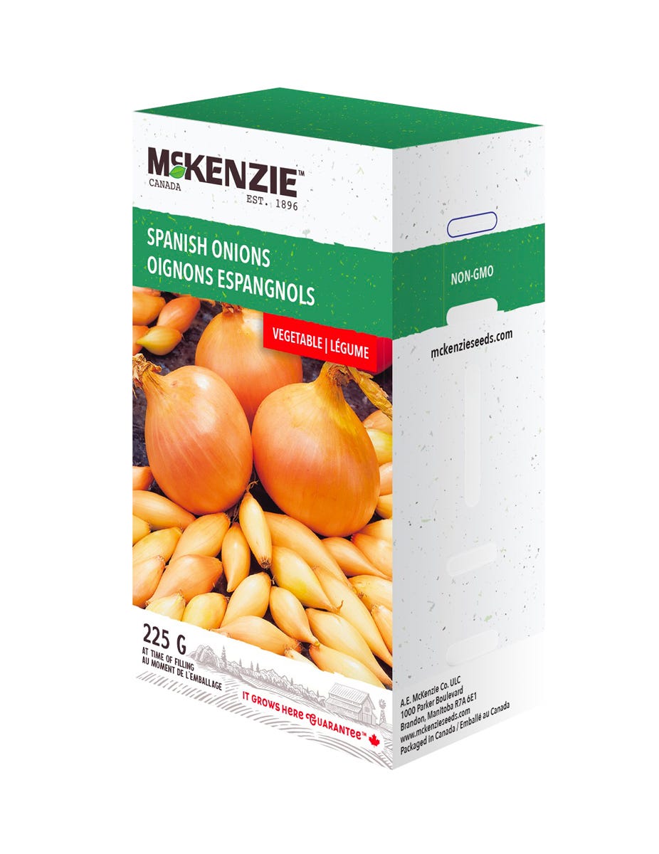McKenzie Spanish Onion Sets, 225 G
