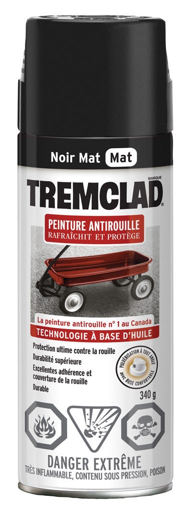 Spray Anti-Rust Paint Oil-Based, Flat Finish, Black, 340 g