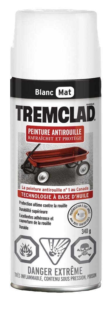 Spray Anti-Rust Paint Oil-Based, Flat Finish, White, 340 g