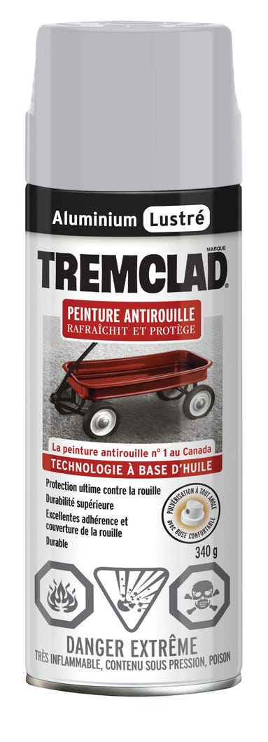 Spray Anti-Rust Paint Oil-Based, Gloss Finish, Aluminum, 340 g