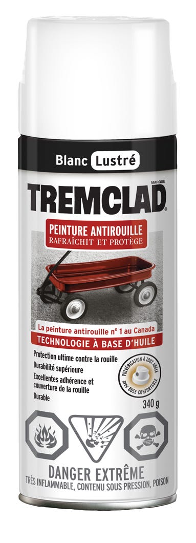 Spray Anti-Rust Paint Oil-Based, Gloss Finish, White, 340 g
