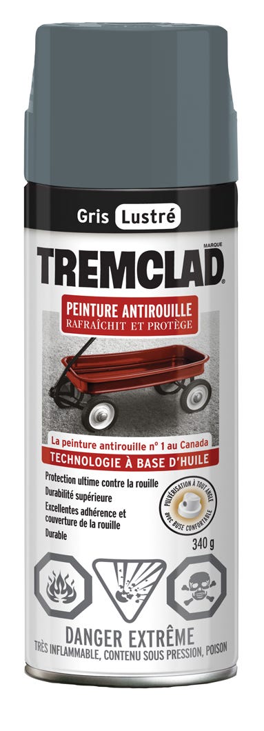 Spray Anti-Rust Paint Oil-Based, Gloss Finish, Grey, 340 g