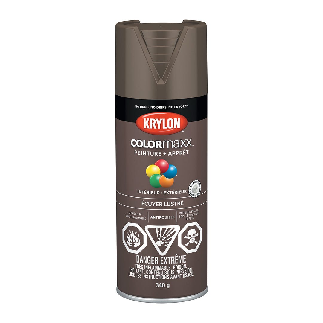Spray Paint, Gloss Equestrian, 340 g