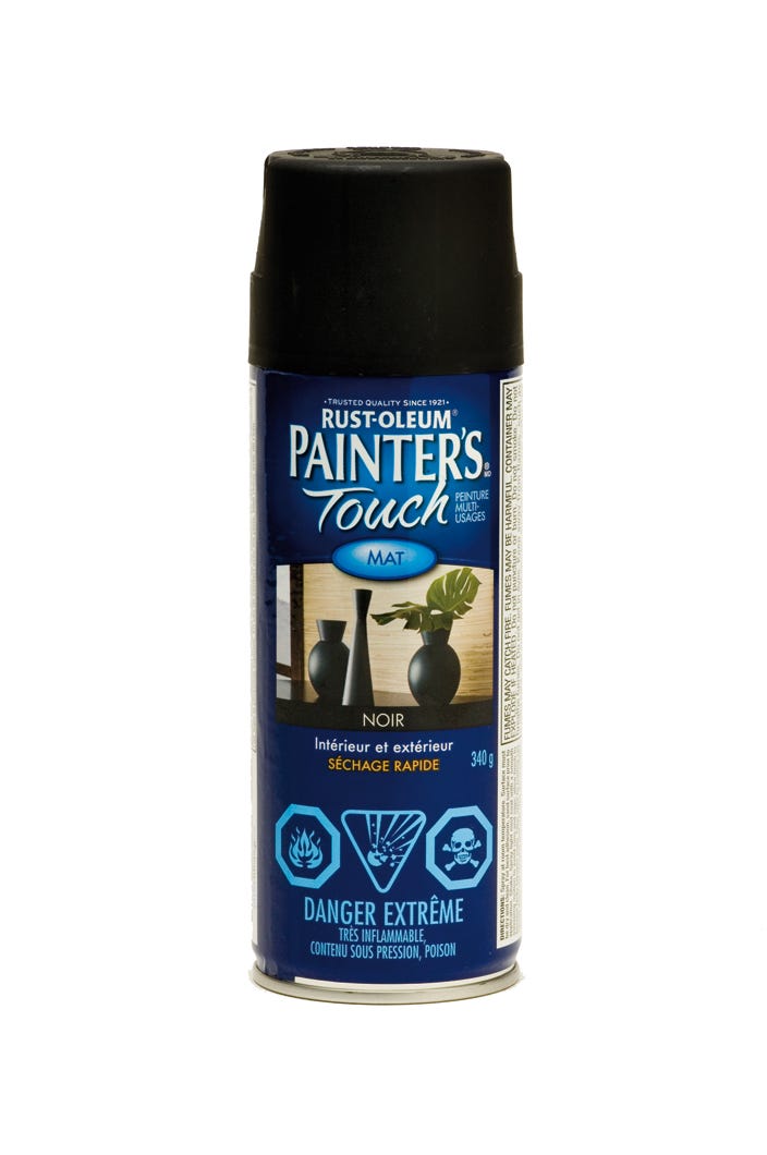 Spray Paint Indoor/Outdoor Fast Drying, Flat Finish, Black, 340 g