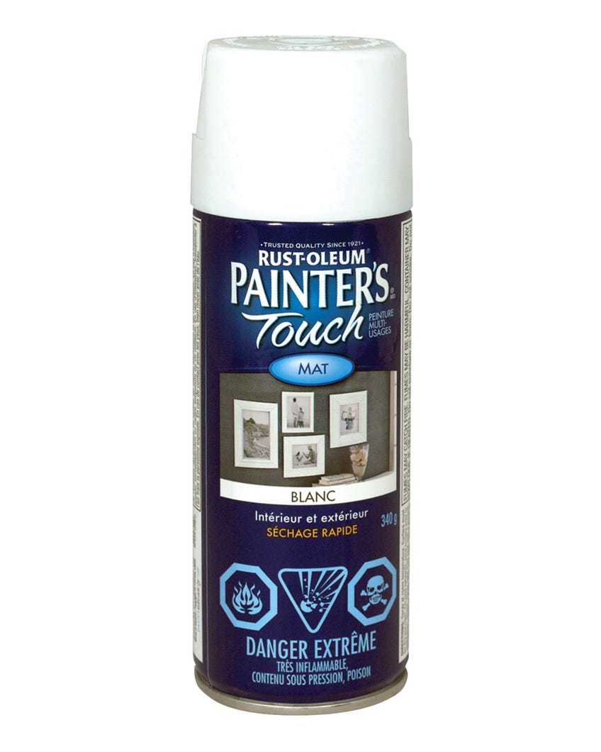 Spray Paint Indoor/Outdoor Fast Drying, Flat Finish, White, 340 g