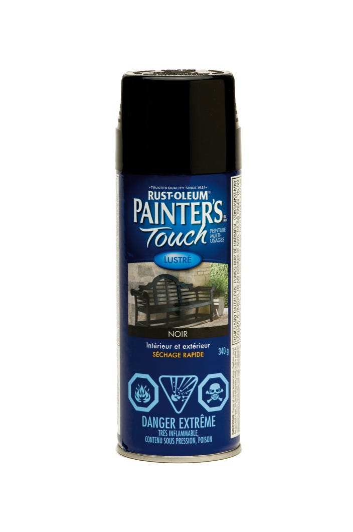 Spray Paint Indoor/Outdoor Fast Drying, Gloss Finish, Black, 340 g