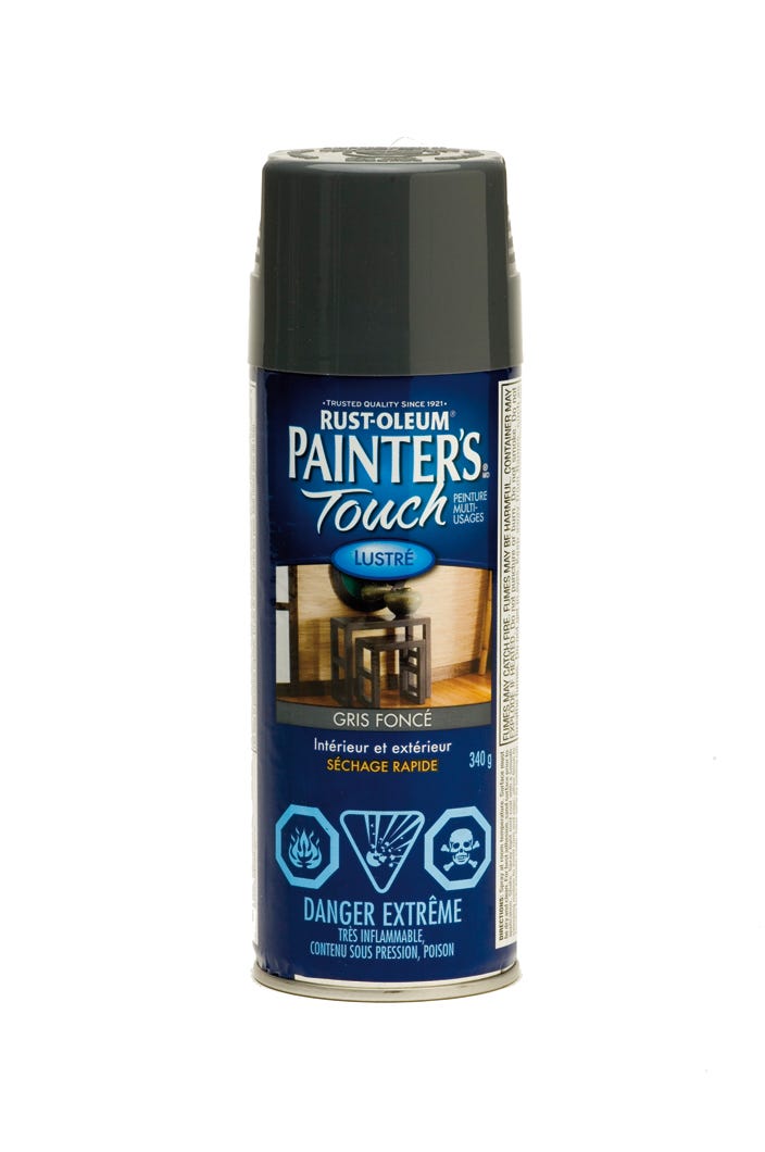 Spray Paint Indoor/Outdoor Fast Drying, Gloss Finish, Dark Grey, 340 g