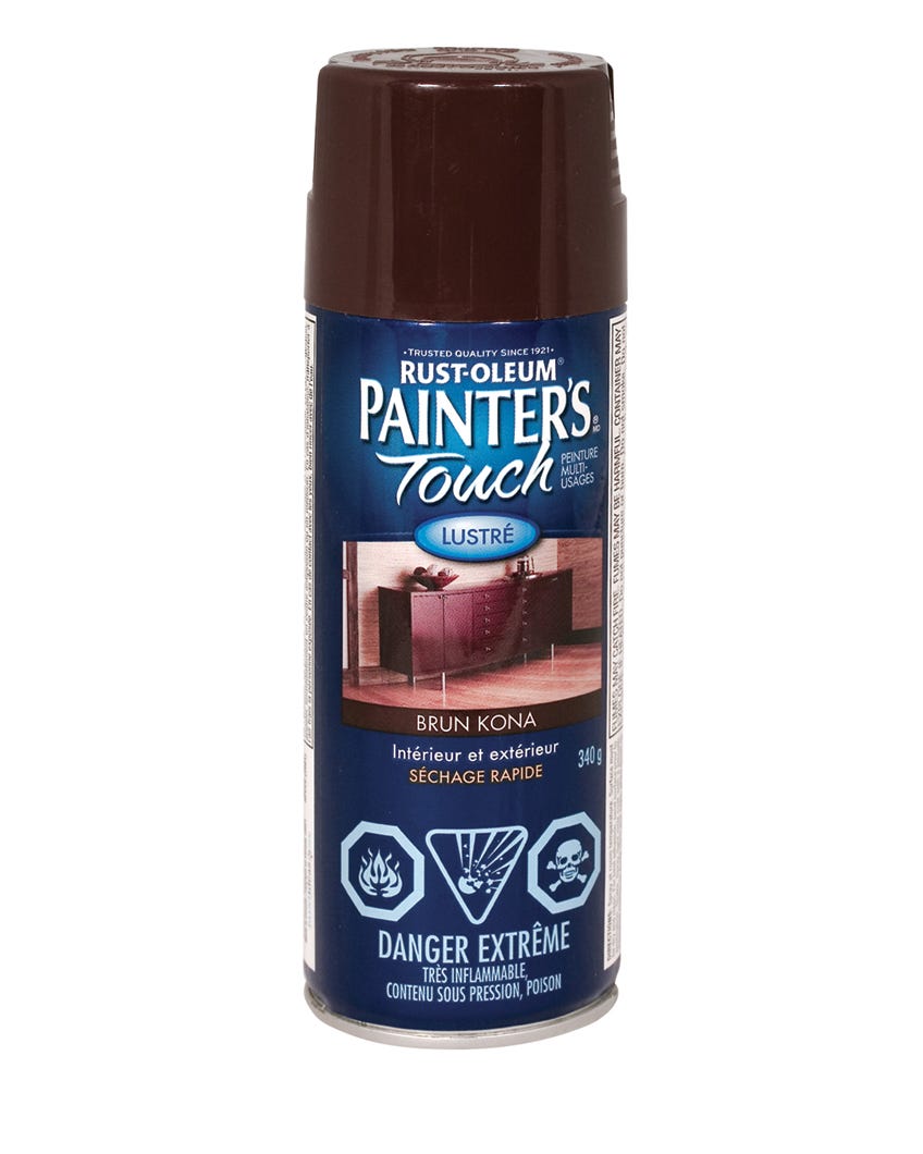 Spray Paint Indoor/Outdoor Fast Drying, Gloss Finish, Kona Brown, 340 g