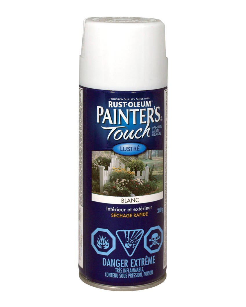 Spray Paint Indoor/Outdoor Fast Drying, Gloss Finish, White, 340 g