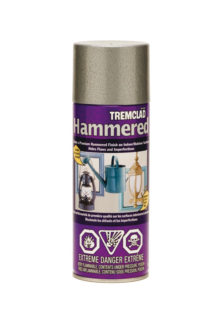 Spray Paint Indoor/Outdoor Hammered Finish, Silver, 340 g