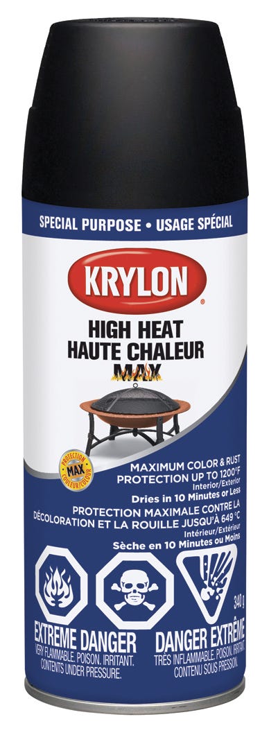 Spray Paint Indoor/Outdoor Special Purpose, Black, 340 g