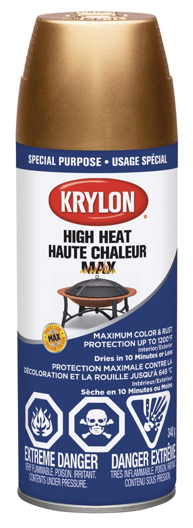 Spray Paint Indoor/Outdoor Special Purpose, Copper, 340 g
