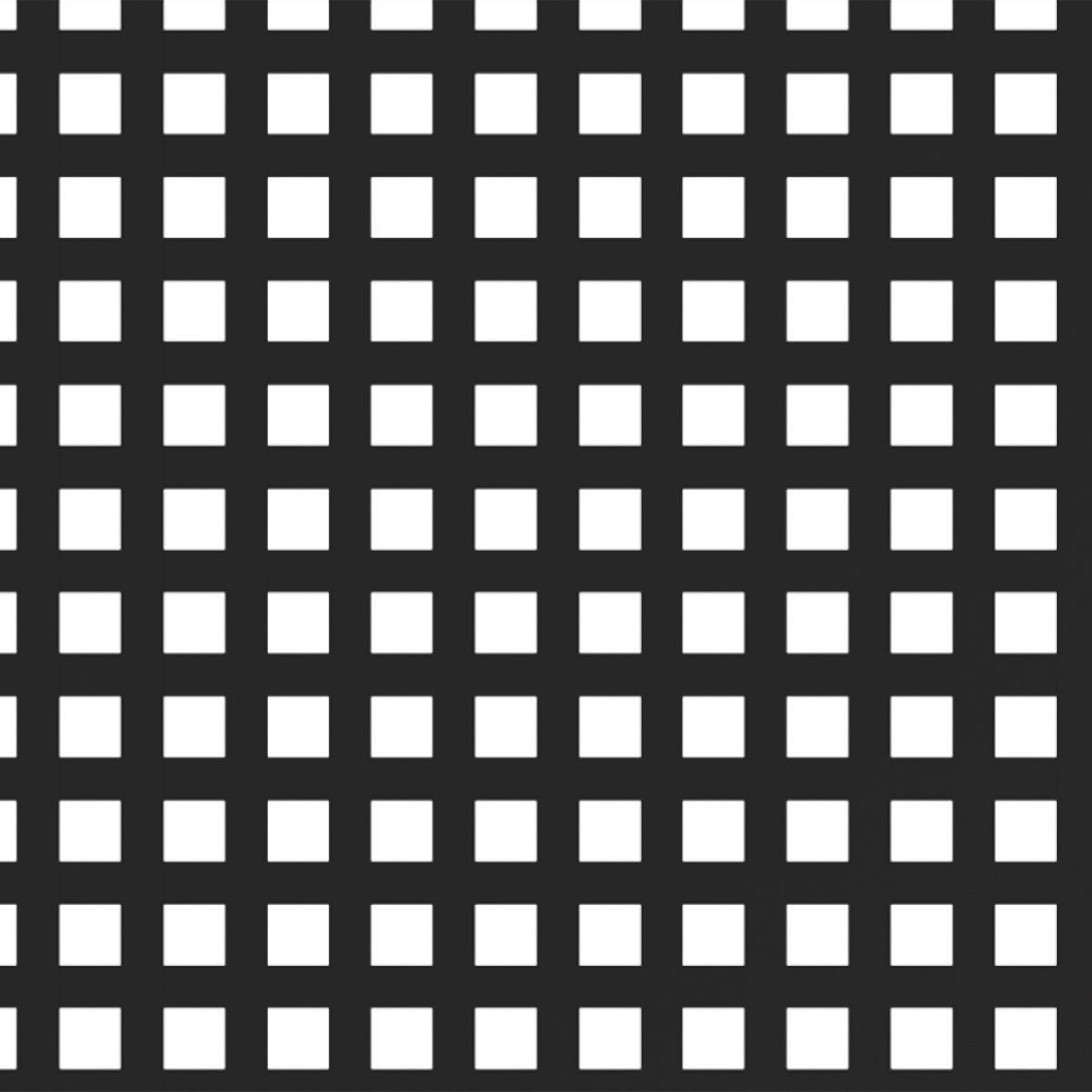 Square privacy, 4x8, black lattice
