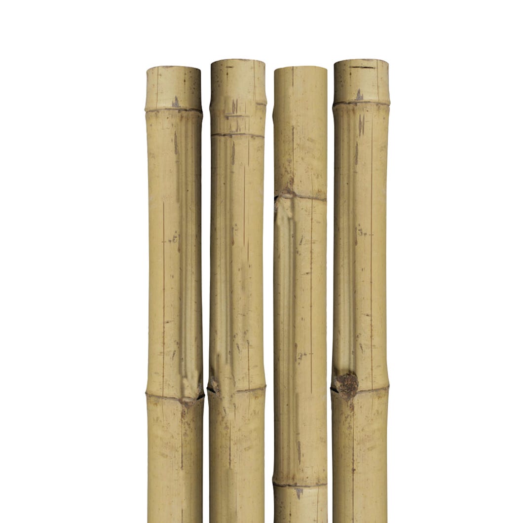 Natural Bamboo Stake, 96-in.